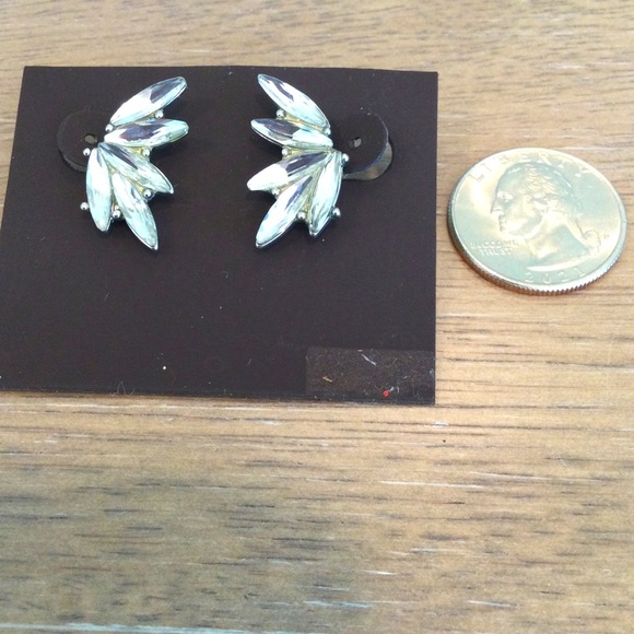 Elegant Rhinestone Earrings - Picture 4 of 4